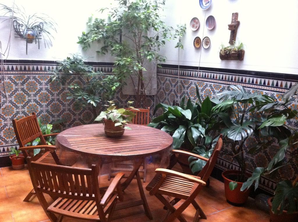 Hostal Senero Mérida Extérieur photo